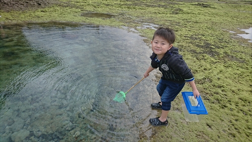 23日・年に一度のやちむん市！